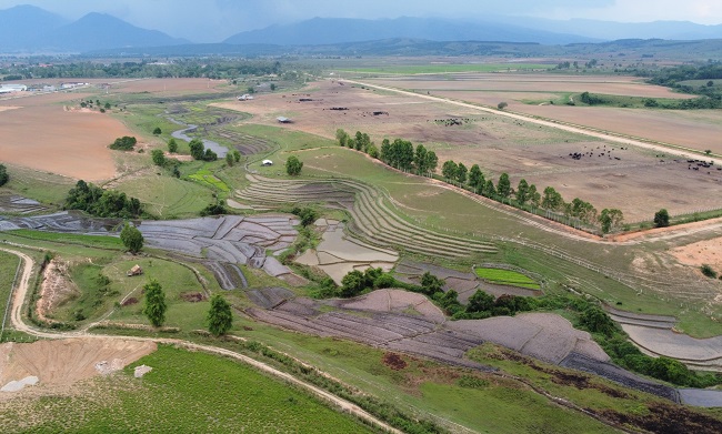 Tổ hợp trang trại Vinamilk tại Lào dự kiến đi vào hoạt động đầu năm 2022 2
