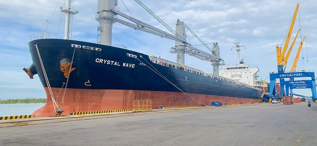 Cảng Chu Lai phát triển mạnh dịch vụ xuất nhập khẩu hàng rời 2