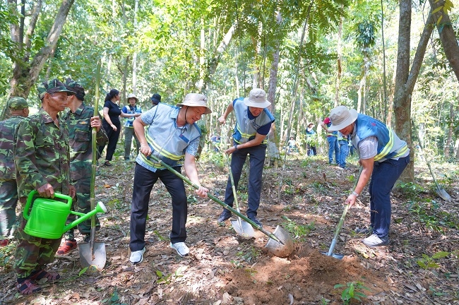 Coteccons tham gia dự án bảo tồn rừng tại Phong Nha - Kẻ Bàng