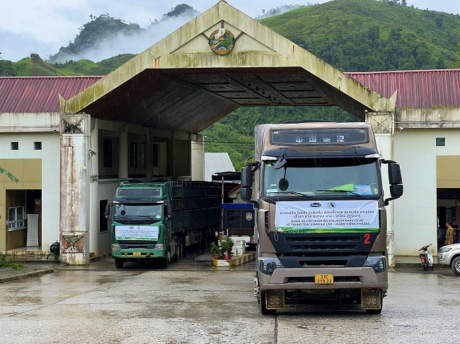Vinamilk nhập 1.000 bò sữa HF từ Mỹ về tổ hợp trang trại tại Lào 1